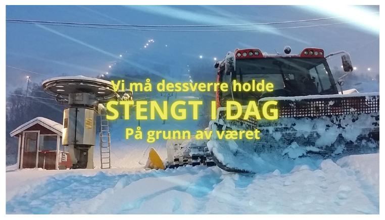 STENGT PGA VÆRET (Gul) Liten